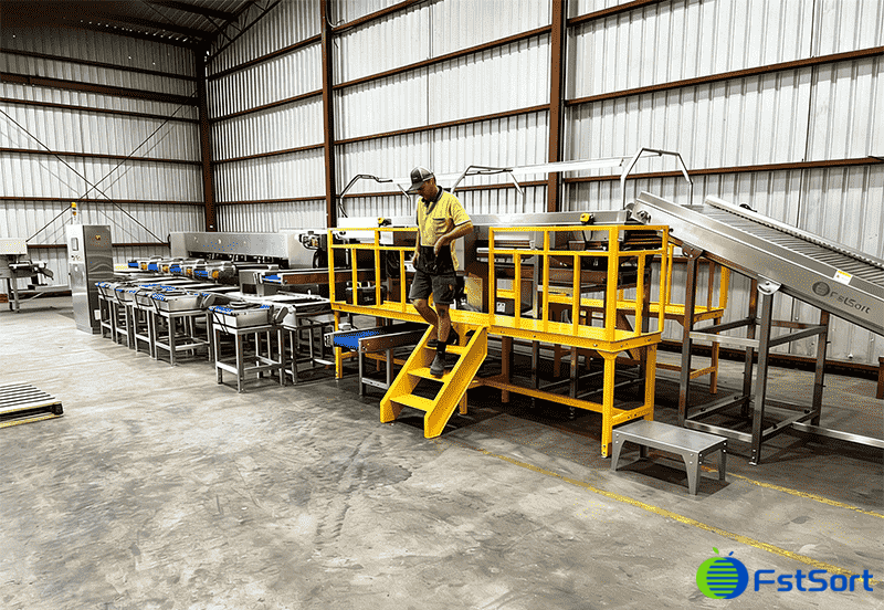 undefined images/1773995738020Australian-Jujube-Grading & Packing-Line-successfully-installed.png